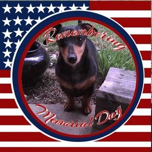 Meet your Posher, Gary